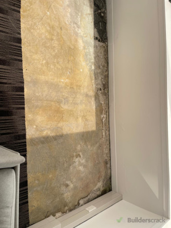 before carpet done -4