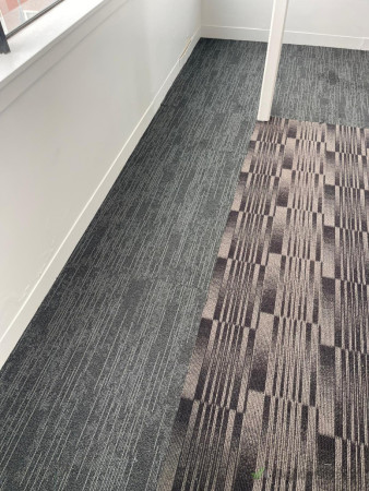 after carpet done- 4