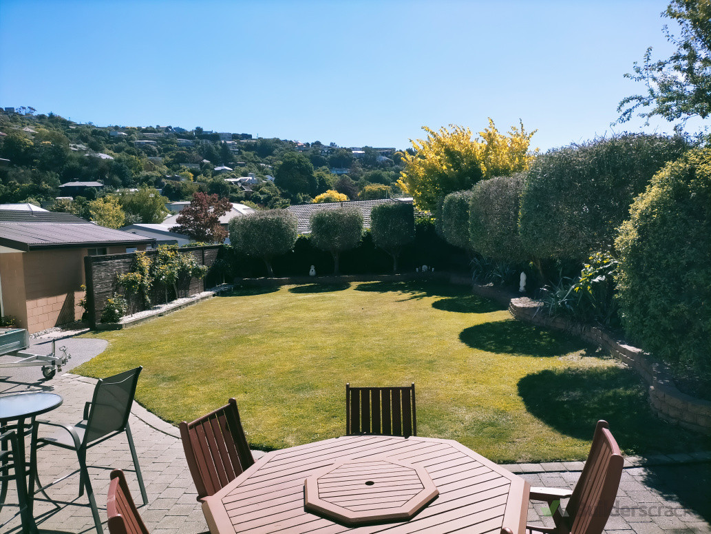 Prune and shape trees laid new lawn