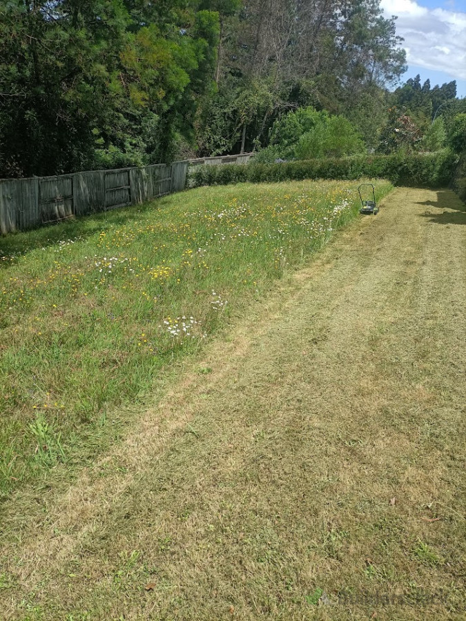 limited access section clean up