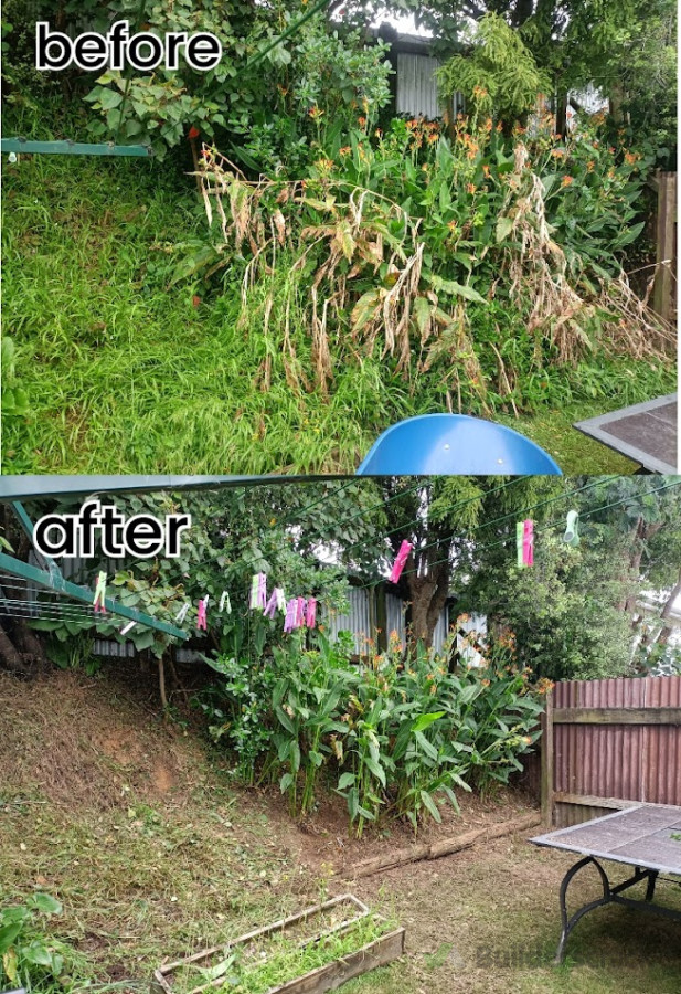 thinning out the bank