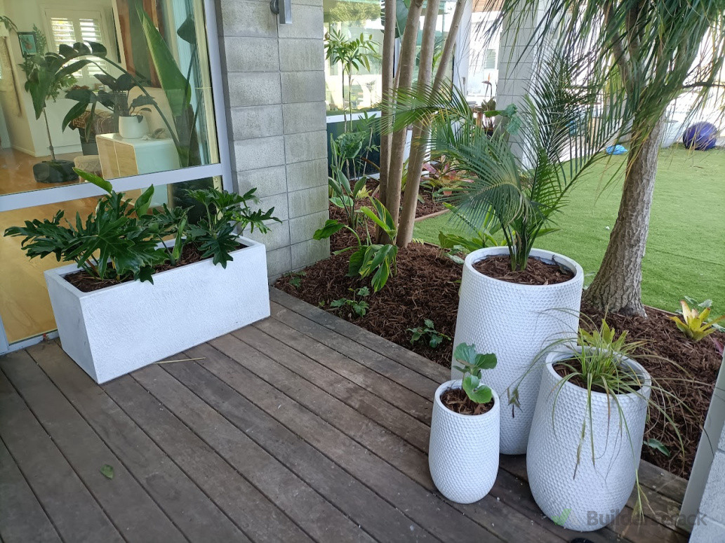 amazing small new tropical garden in papamoa. tidy planter boxes next to the frount door and and garden in the background