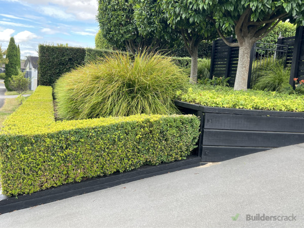 Hedge trimming