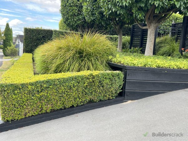 Hedge trimming