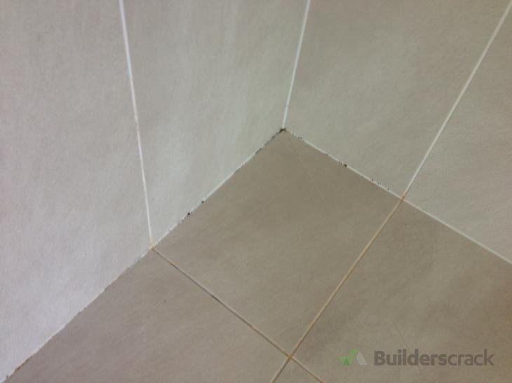 Shower tile base reseal silicone ( 184774) Builderscrack