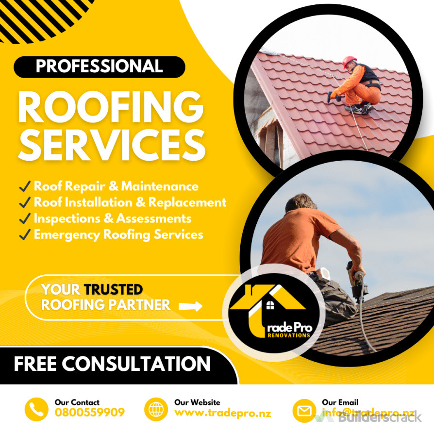 Professional Roofing Services