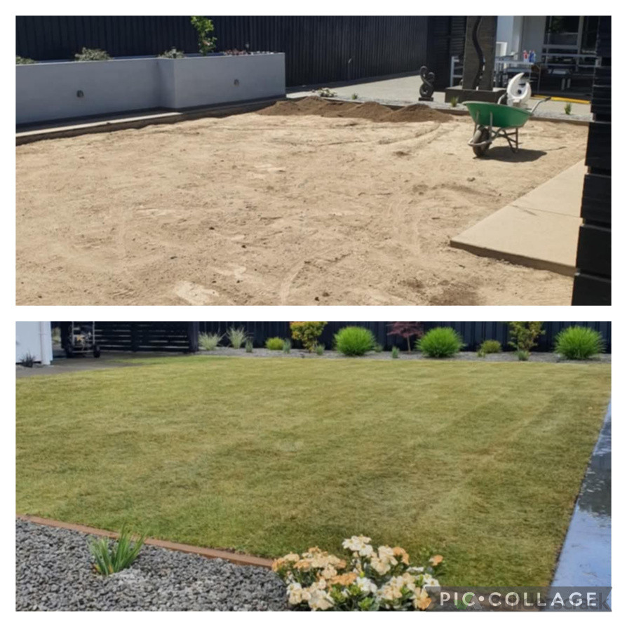 Ready lawn
