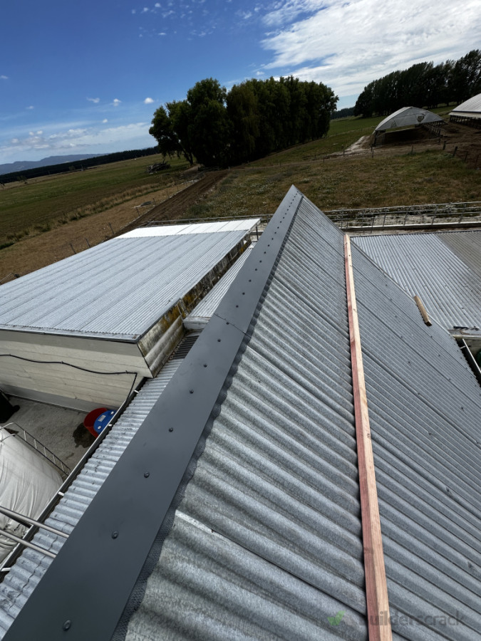 Installed new header flashing on a 45degree cow shed roof. The old one ripped off from the wind!