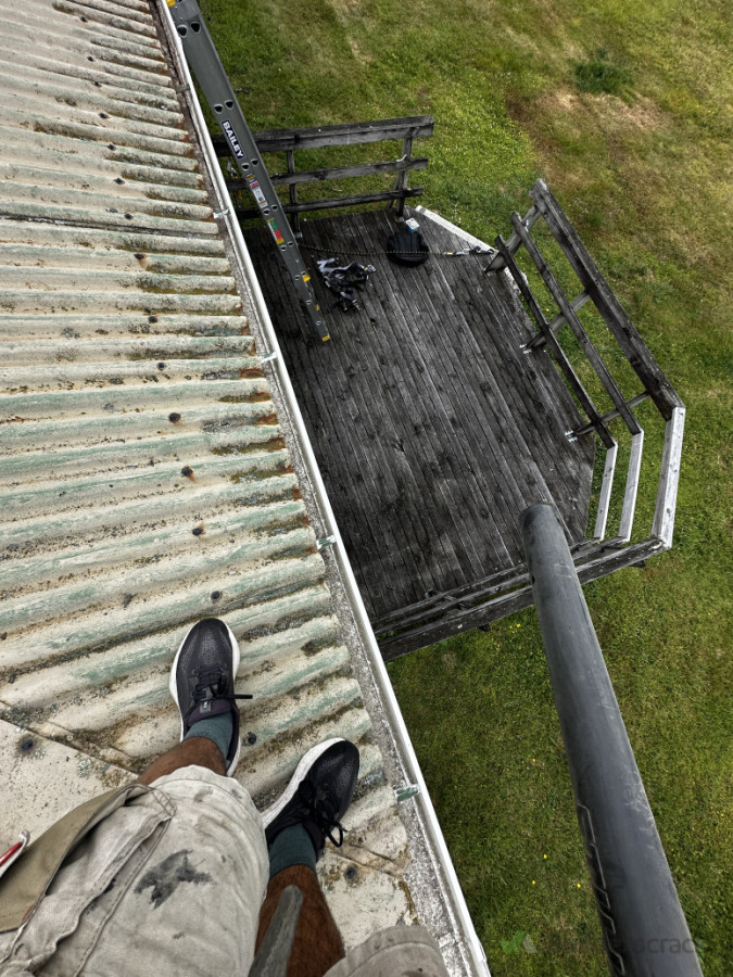 Gutter cleaning!