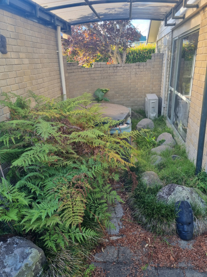 Recent photos of property ready for going on the market