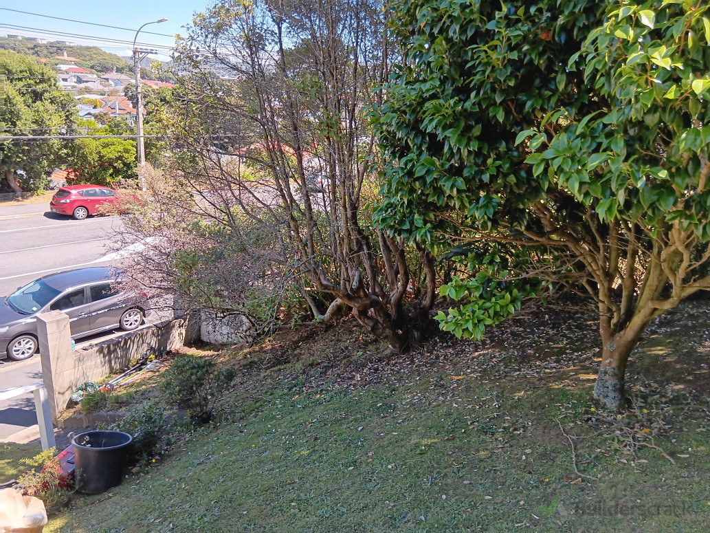 After - trees and bushes cut back and shaped