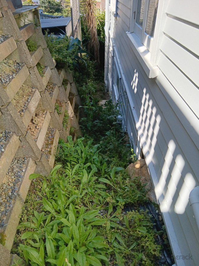 Before - side of house to be weeded