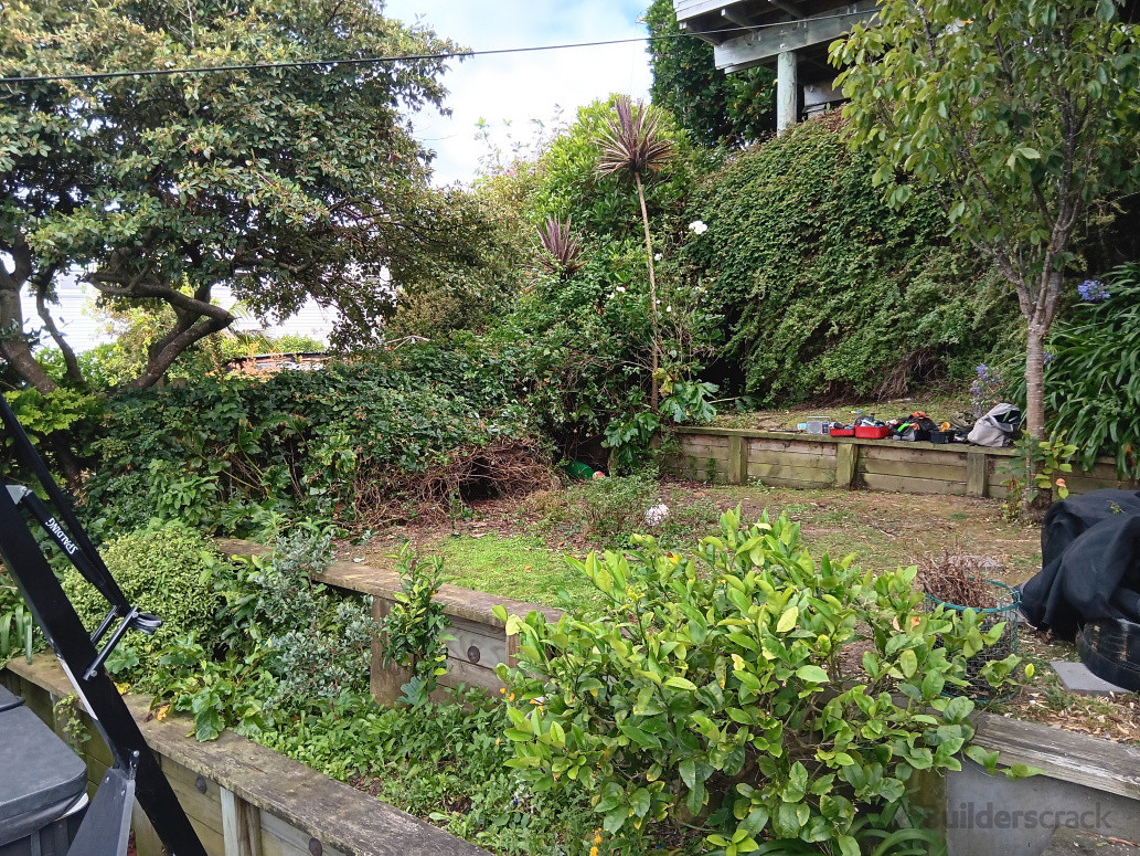 Before - vines to be cut back, general tidying and shaping