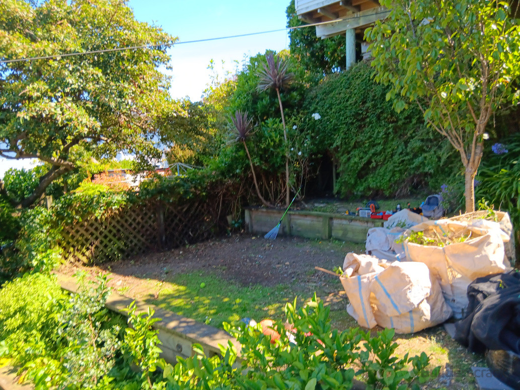 After - vines removed to show fence, garden area tidied, cut back and shaped