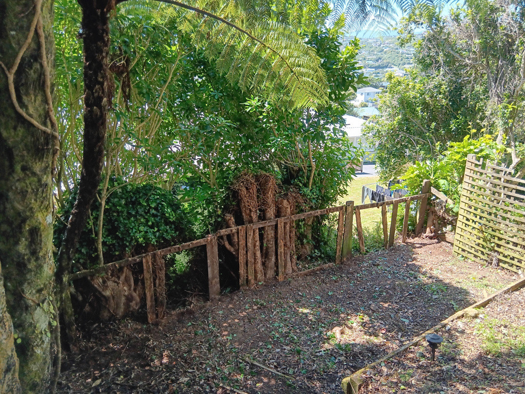 After - vine removed ready for builder to replace fence