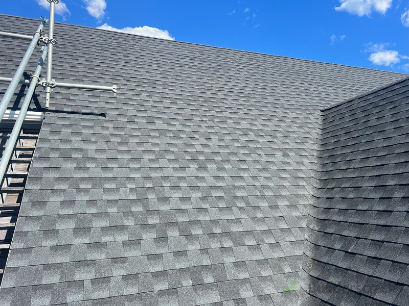 Asphalt Shingle Replacement