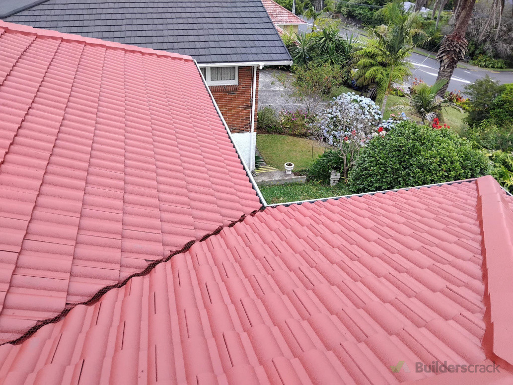 Roof Painting- Completed