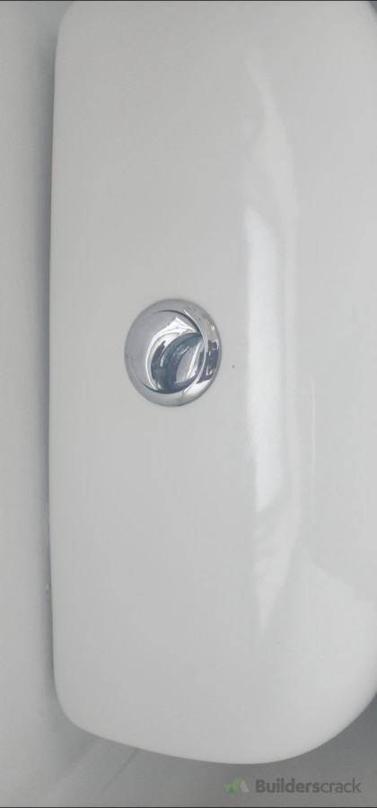 Toilet flush buttons changee