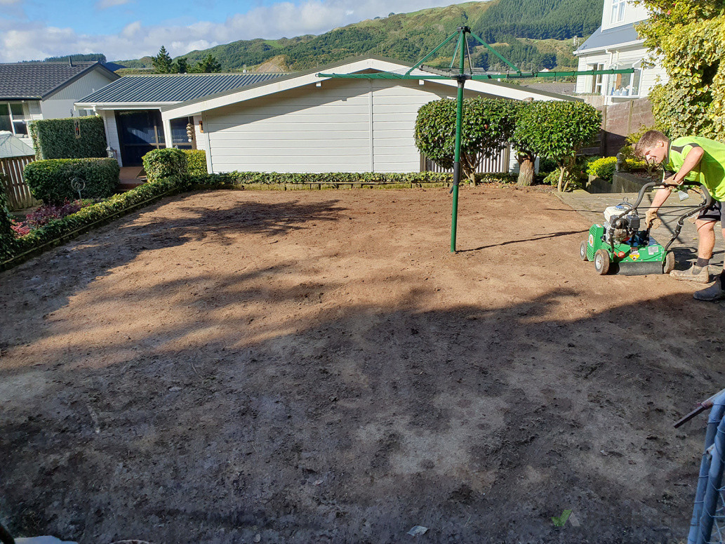 Lawn before hydroseeding