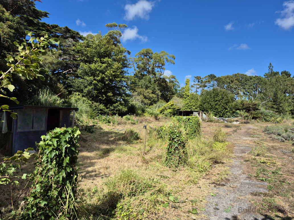 A completely cleared site