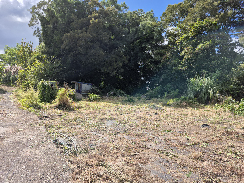 A completely cleared site