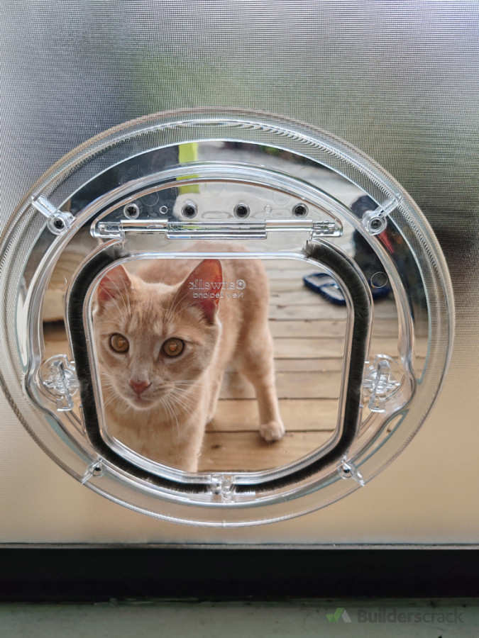 Catdoor installed on single glazed obscure glass.