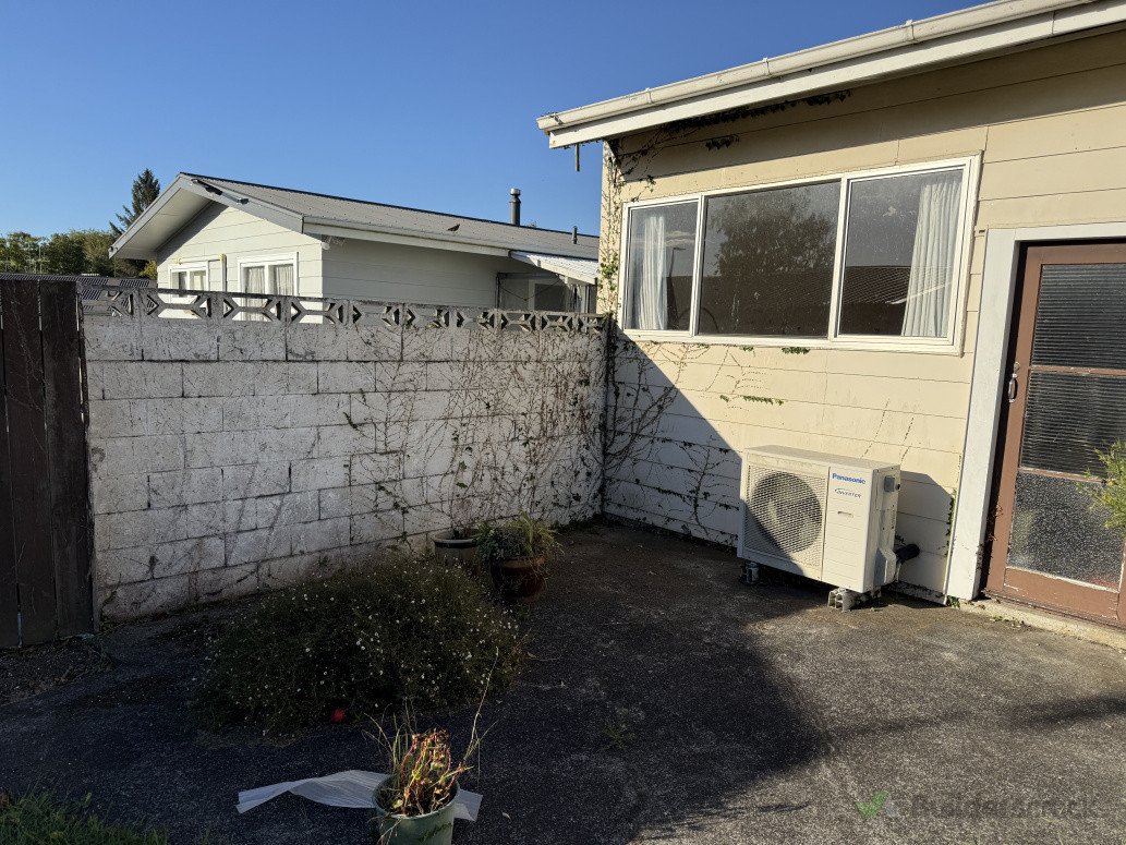 Ivy Removal After