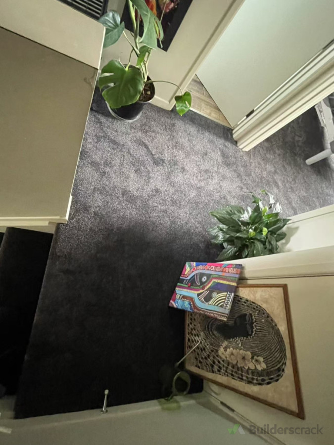 Carpet Renovation