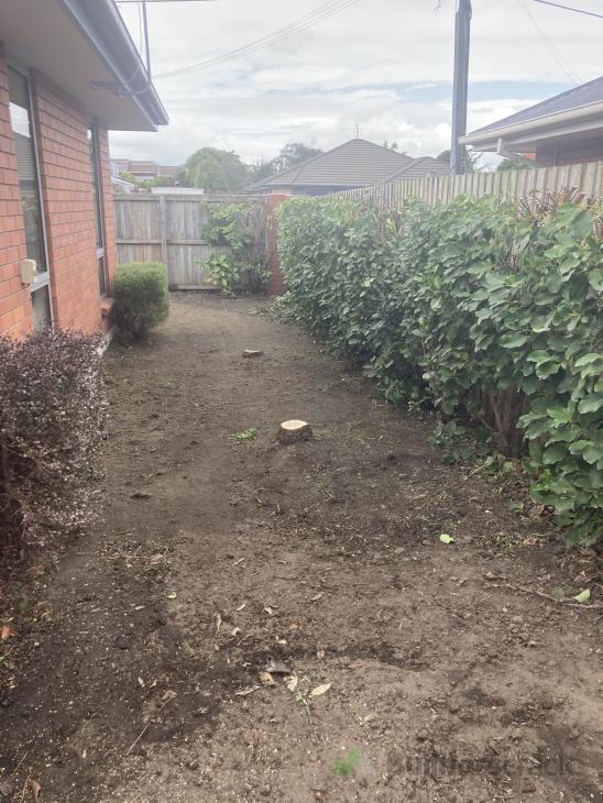 Landscaping of small front and side yard (#1088257) | Builderscrack