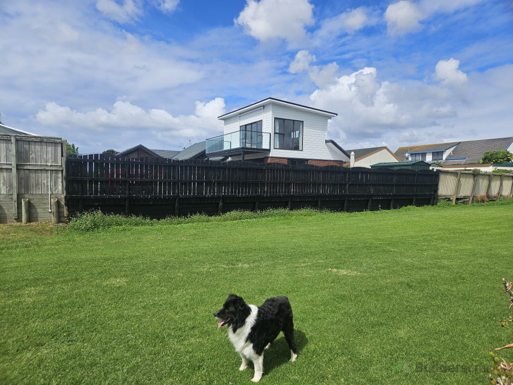 Fence Repaint, Matua [Yes, as black as the dog]