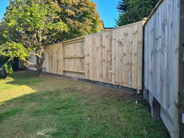 New fence