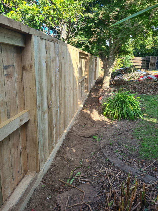New fence