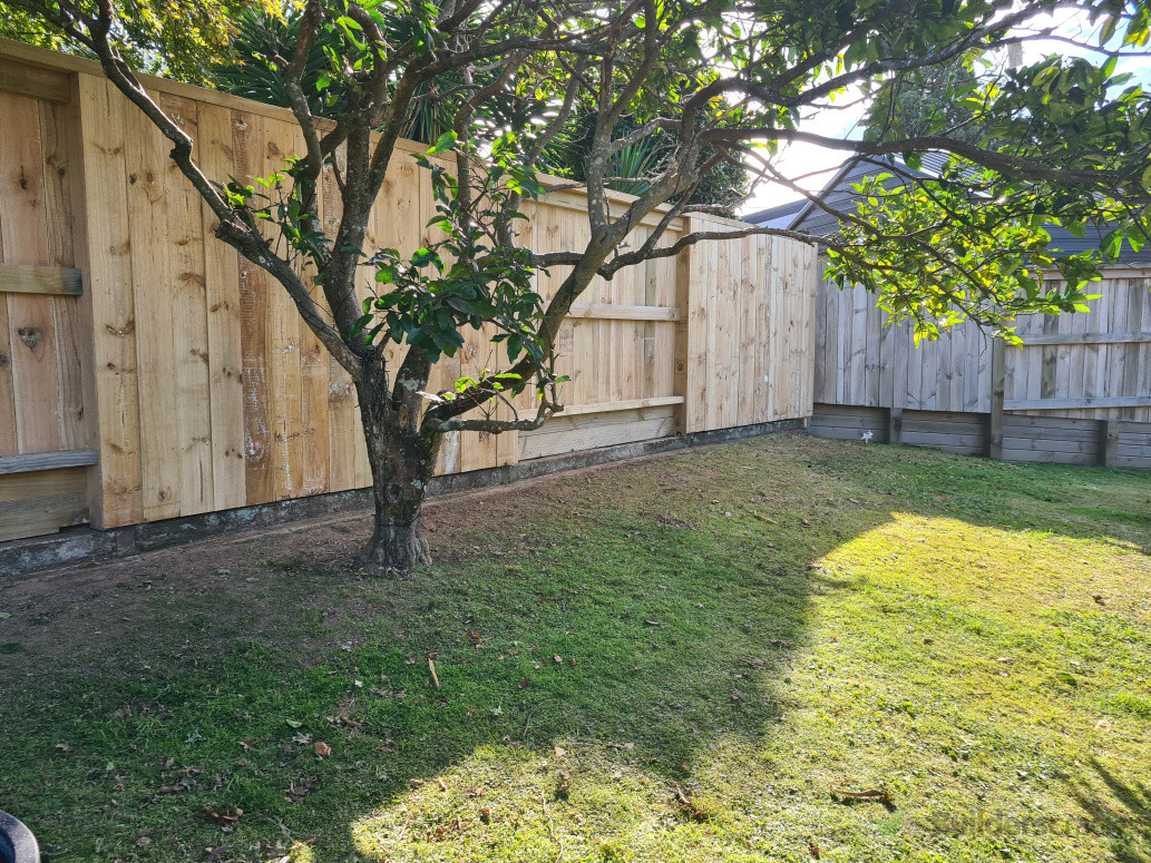 New fence