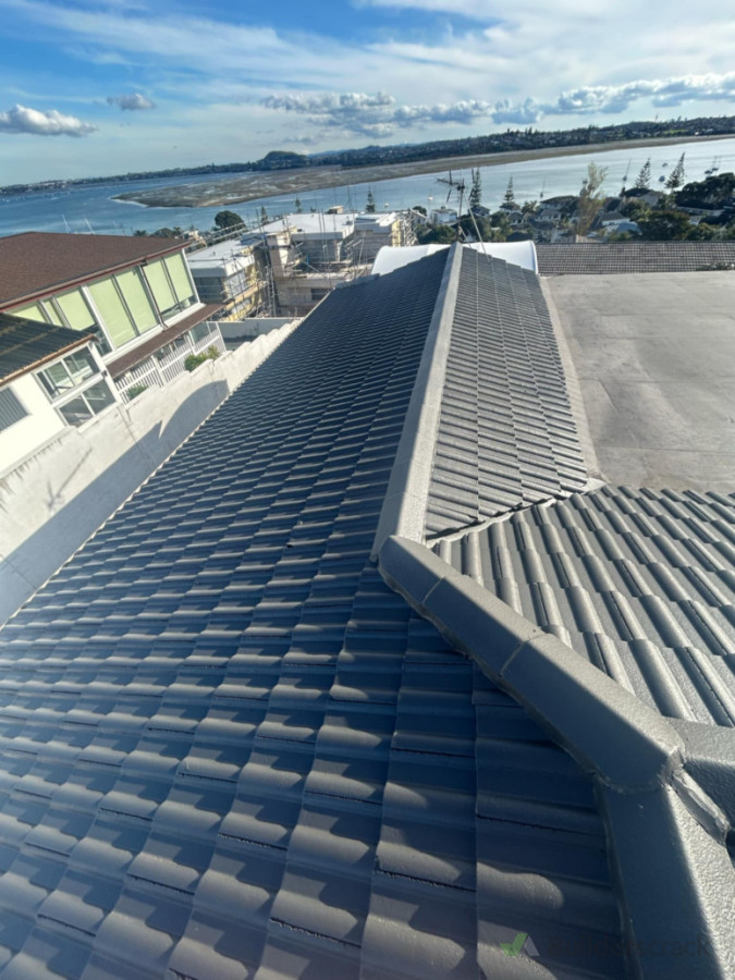 A nice view and an even better roof