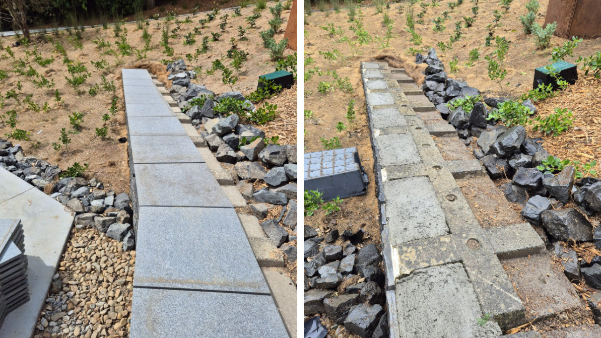 ✅Planting Project – Over 10,000 Plants Transformed This Landscape! 🌱