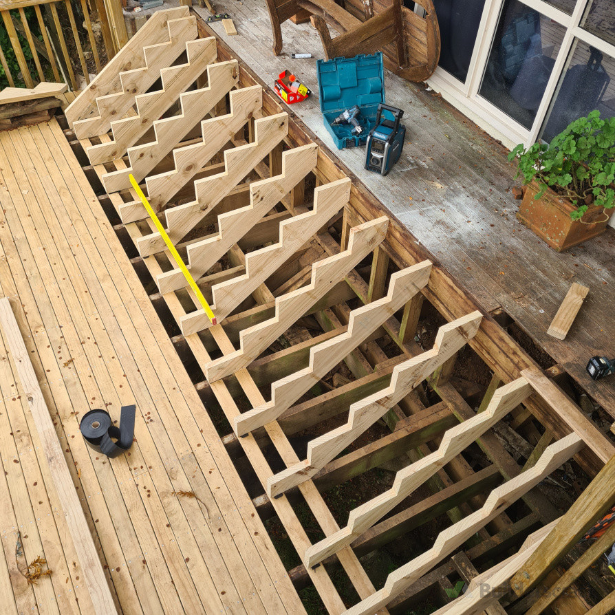 Waitakere Ranges stair set.
