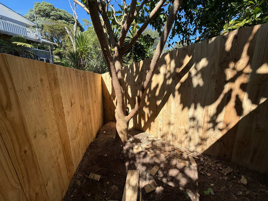 Back of the property