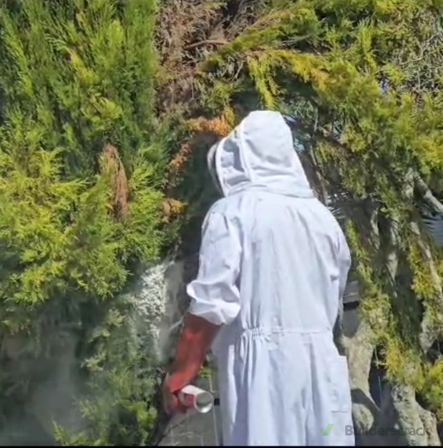 German wasp nest treatment