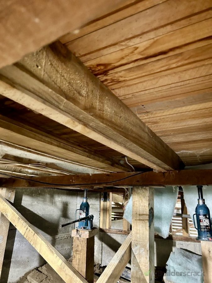 New joist added next to joist with compromised bora