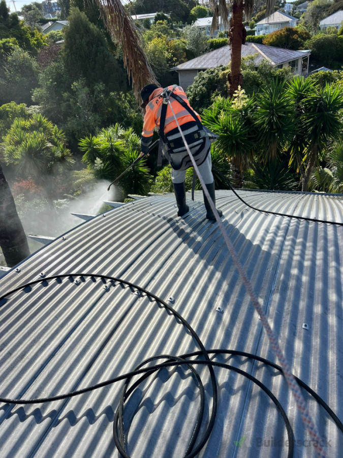 Roof washing