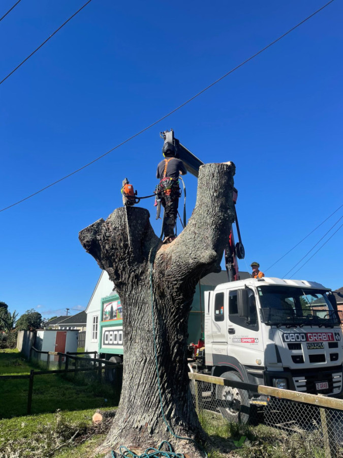 Big tree removals sometimes require hiab assistance. No job too big or small for us at I-Climb