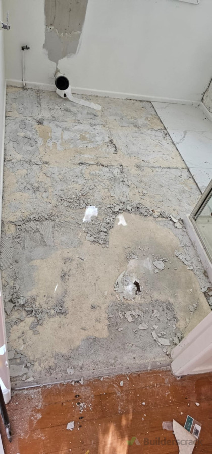 Before:bathroom reno