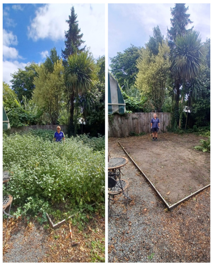 Garden a jungle? We can tame it for you.