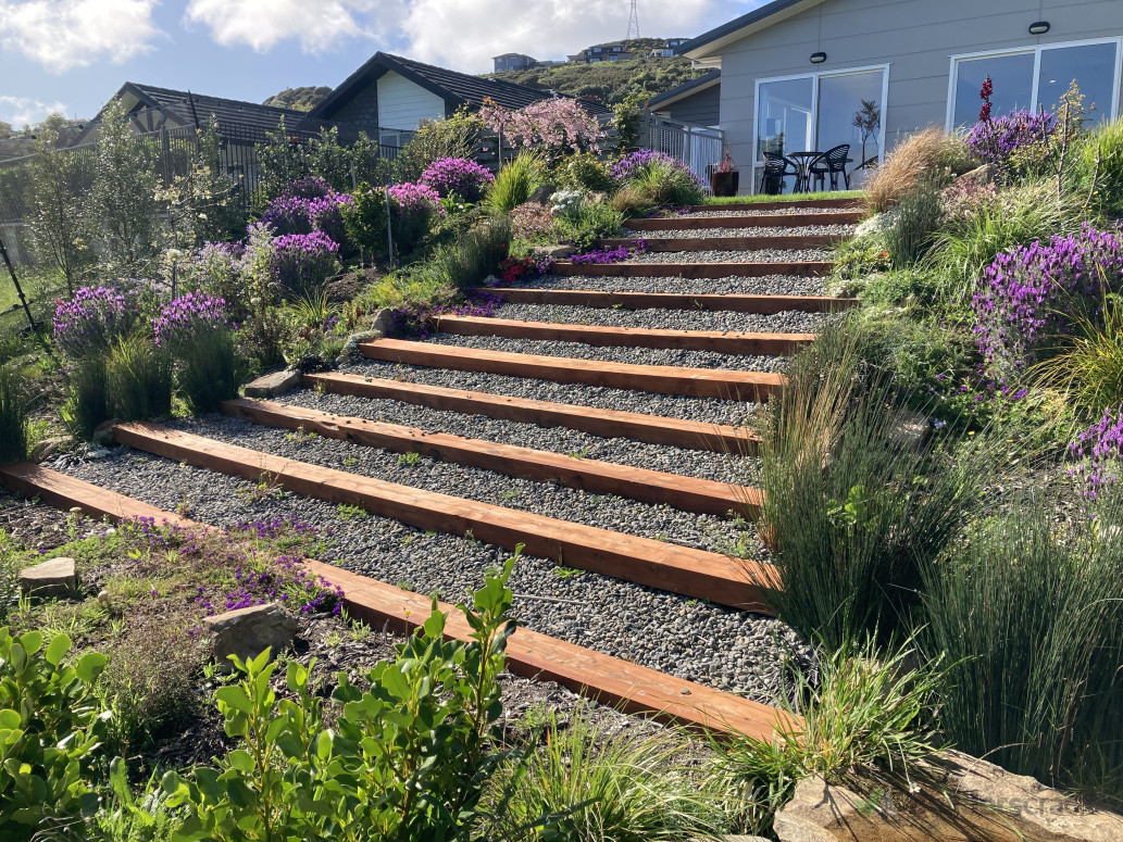grand macrocarpa steps with beautiful  planting. leading to a river