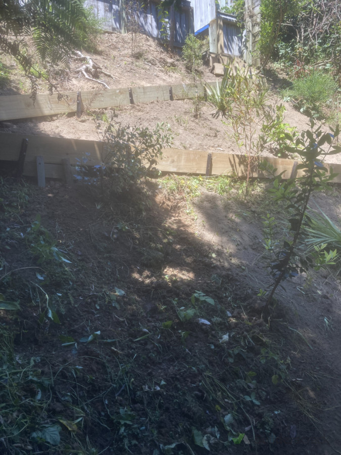 a simple goat track made for easier access for native planting