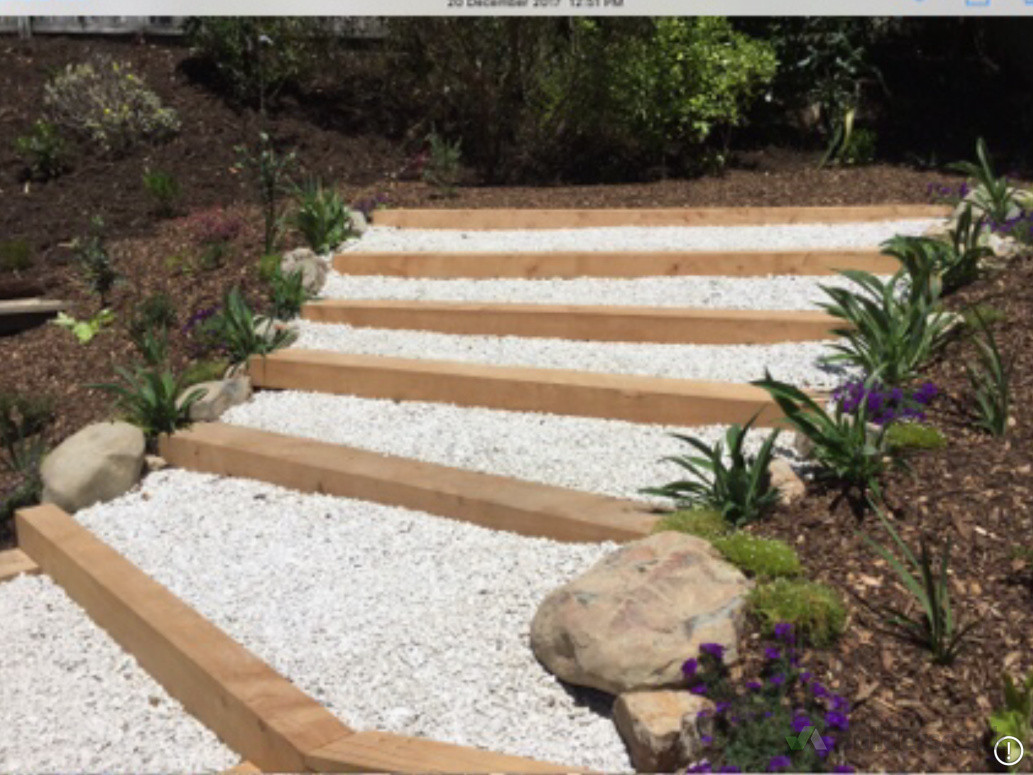 macrocarpa steps with boulders and native  plants