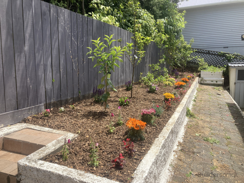 fruit trees and flowering edging plants with mulch