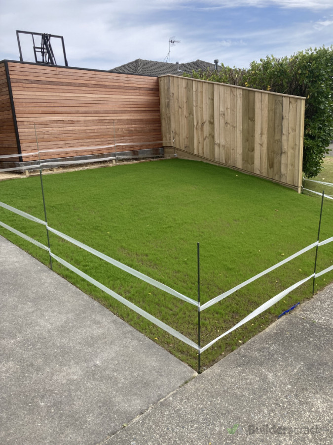 germination if lawn seed