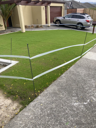 germination if lawn seed