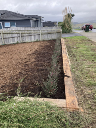 installed Mac edging and plants